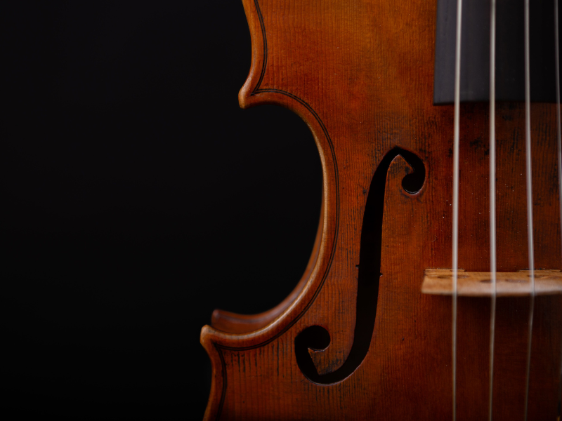 Violin